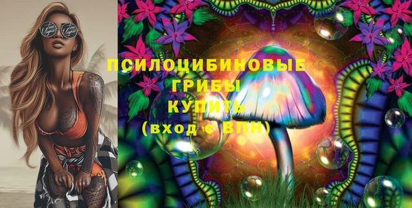 первитин Заводоуковск