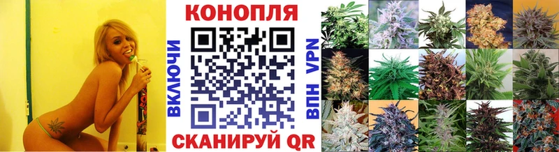 Бошки Шишки семена  Купить где  Заозёрск 